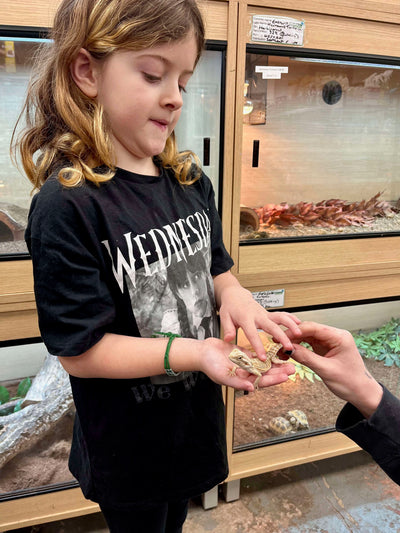 Reptile Handling Sessions