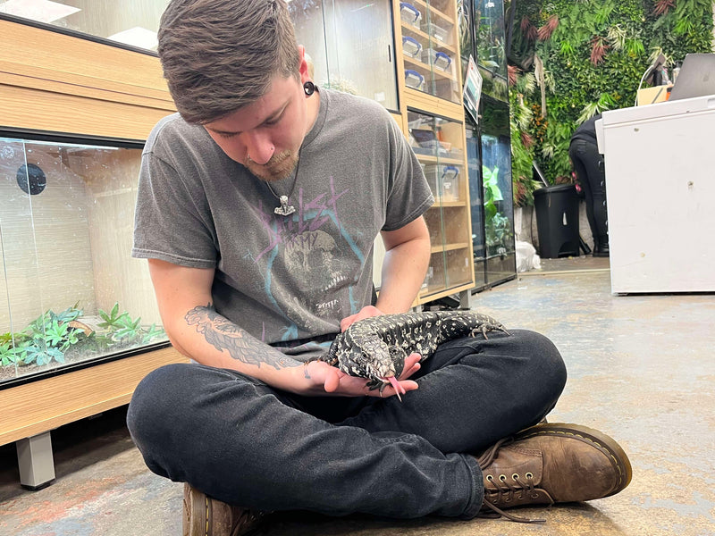 Reptile Handling Sessions