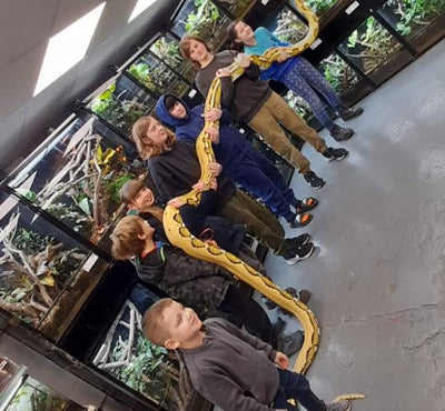 Nagini: Exclusive Encounter with a 17ft Reticulated Python - 5 Guest Pass