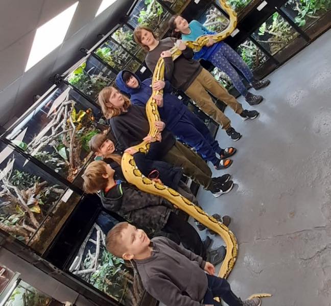 Nagini: Exclusive Encounter with a 17ft Reticulated Python - 5 Guest Pass