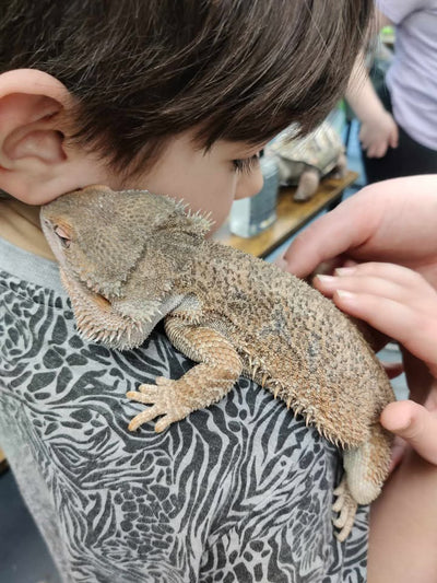 Reptile Handling Sessions