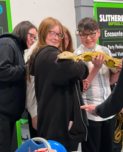 Reptile Handling Sessions