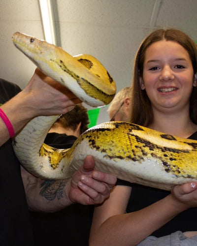 Reptile Handling Sessions