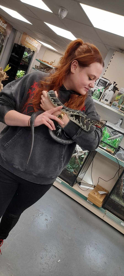 Reptile Handling Sessions