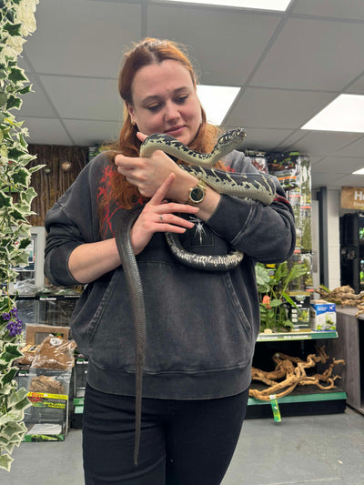 Reptile Handling Sessions