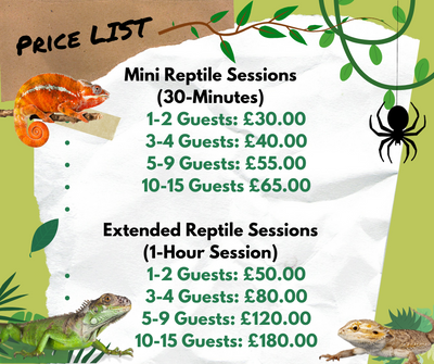 Reptile Handling Sessions