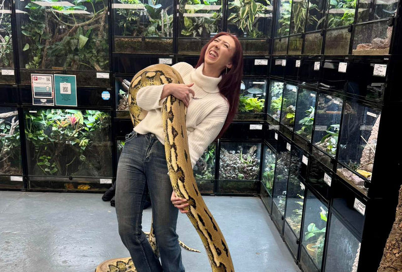 Nagini: Exclusive Encounter with a 17ft Reticulated Python - 5 Guest Pass