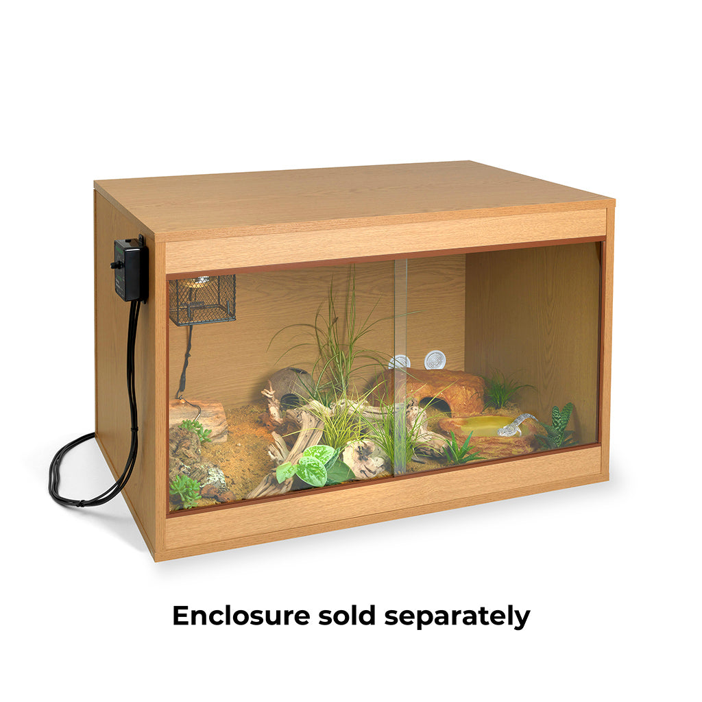 Leopard gecko cage accessories best sale