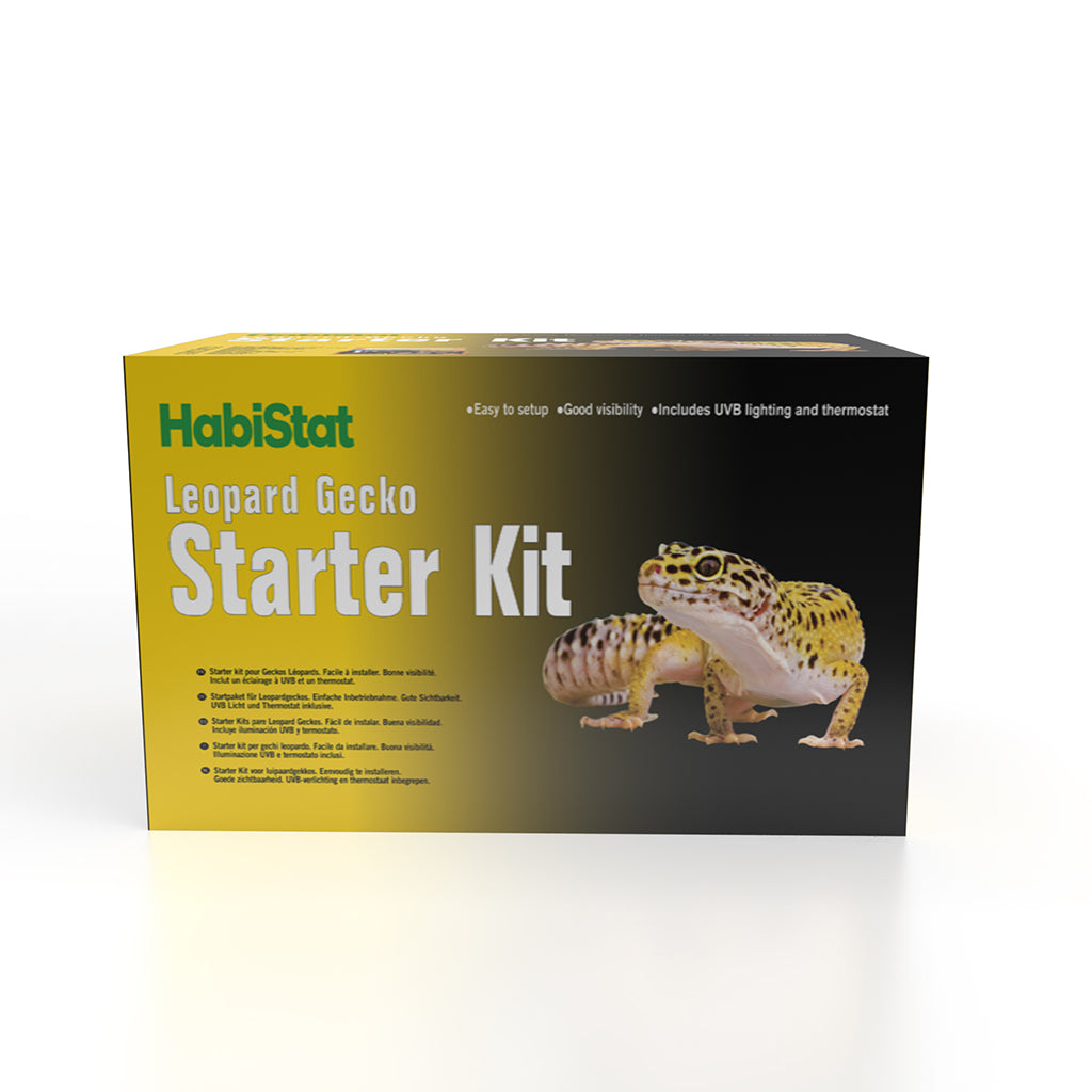 Leopard gecko starter kit best sale