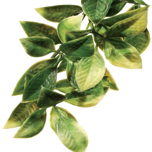 Exo Terra Mandarin Plastic Plant, Large